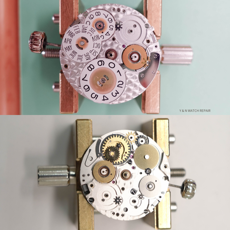 Perpetual Ludwig Full Service