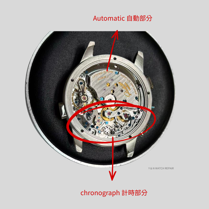 PanoMatic Chrono Full Service